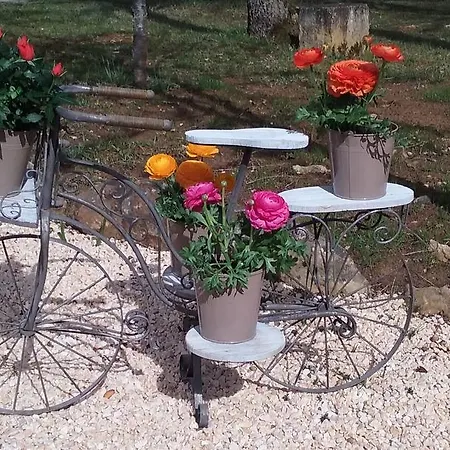 Chambres D'hotes Du Clos De La Dame Bed & Breakfast