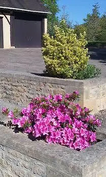 Chambres D'hotes Du Clos De La Dame Bed and Breakfast