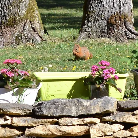 Chambres D'hotes Du Clos De La Dame Bed & Breakfast 3*